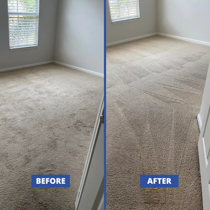 Traffic-worn bedroom carpet refreshed