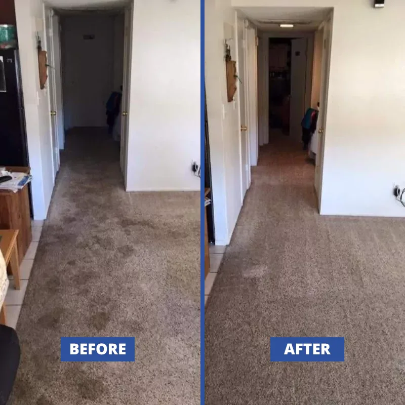 Ground-in hallway grime lifted from the pile