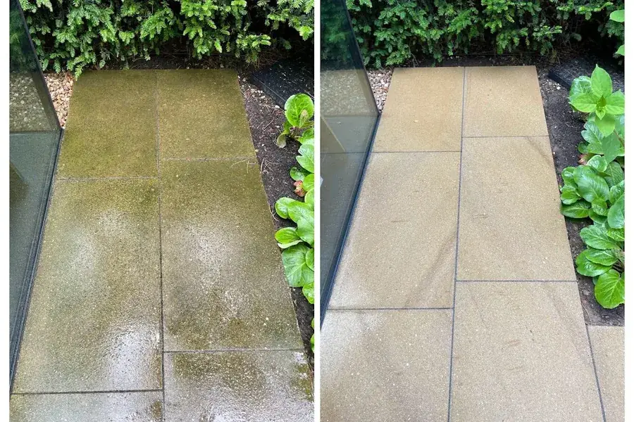 Moss and algae lifted from the slabs