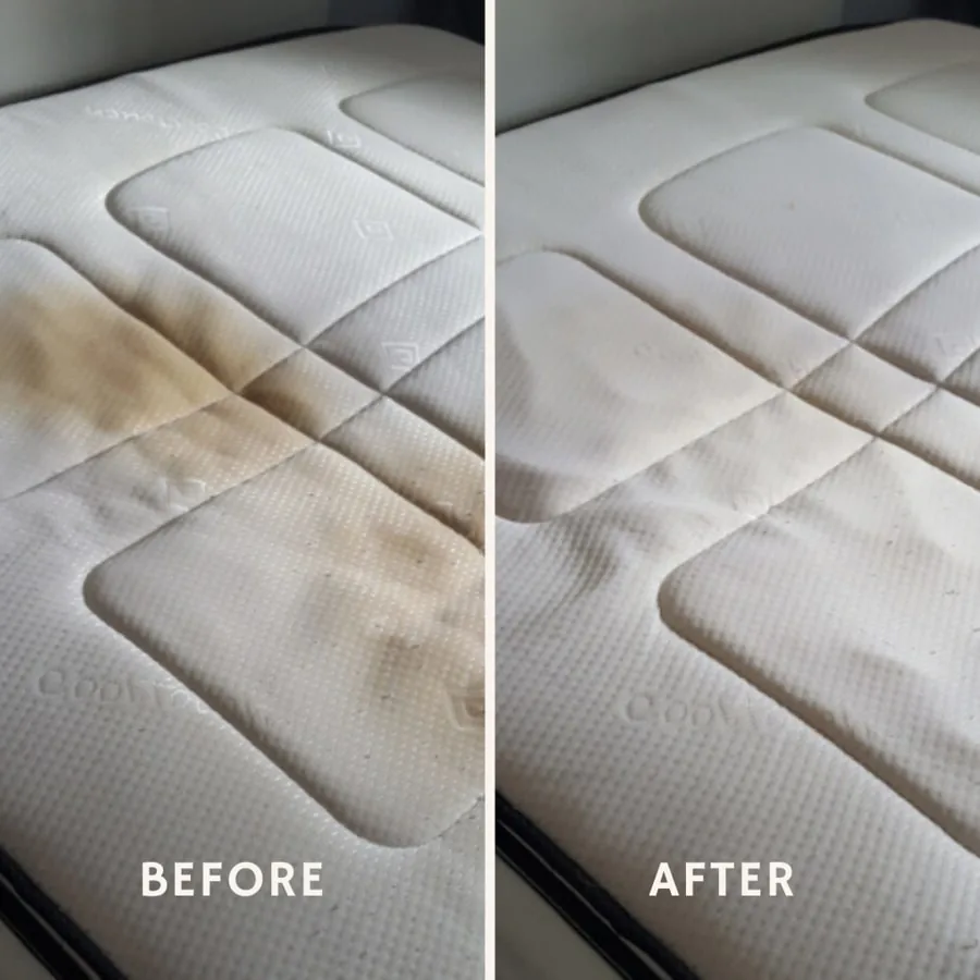 Mattress Cleaning result in Hackney